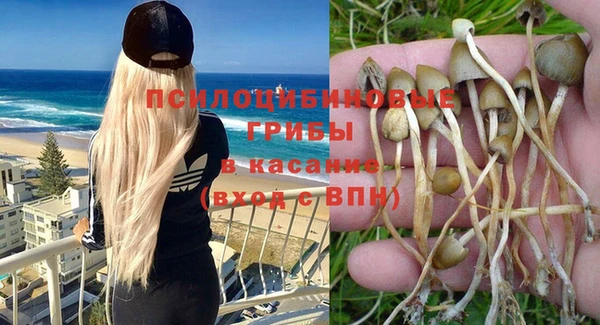 крисы Нефтекумск