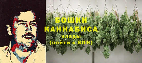 молекула духа Нефтегорск