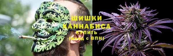молекула духа Нефтегорск