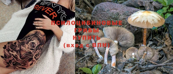 крисы Нефтекумск